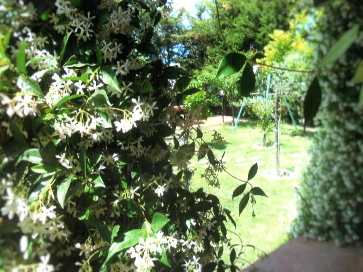 B&B Hibiscus Agropoli Buitenkant foto